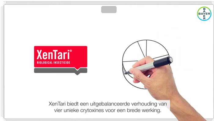 XenTari afbeelding YouTube.png